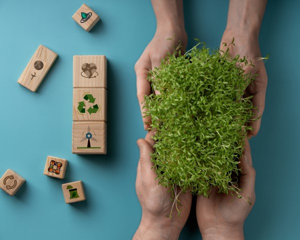 biodiversite