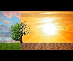 changement climatique